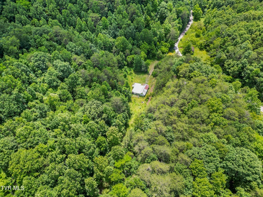 Photo #6: 1103 Speedwell Road