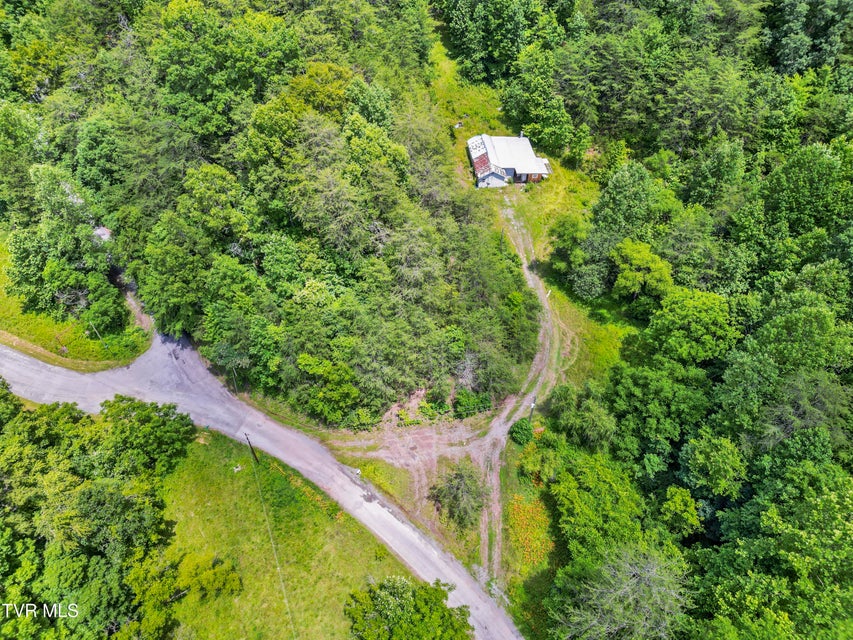 Photo #3: 1103 Speedwell Road