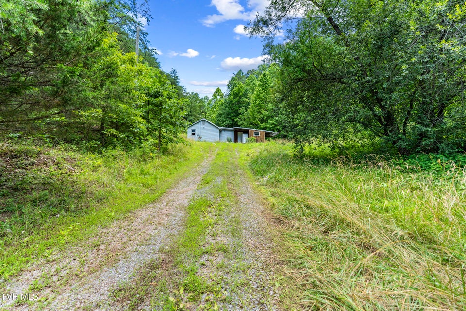 Photo #11: 1103 Speedwell Road