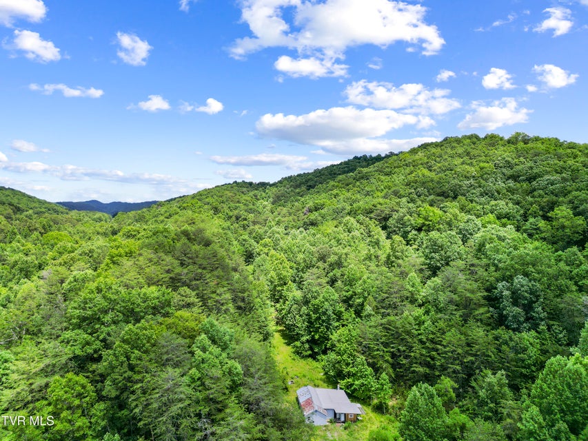 Photo #2: 1103 Speedwell Road