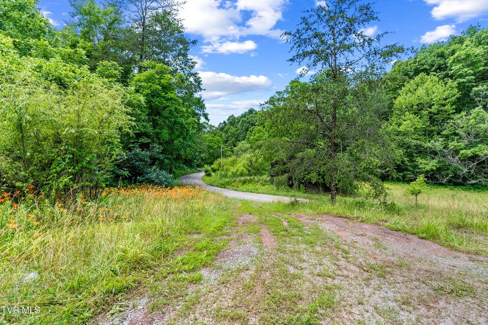 Photo #31: 1103 Speedwell Road