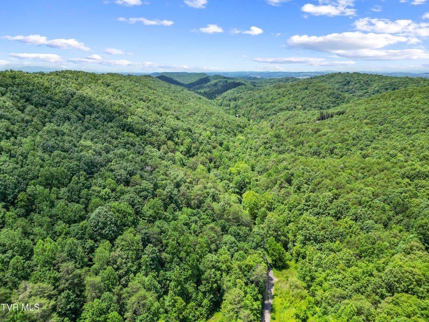 Photo #34: 1103 Speedwell Road