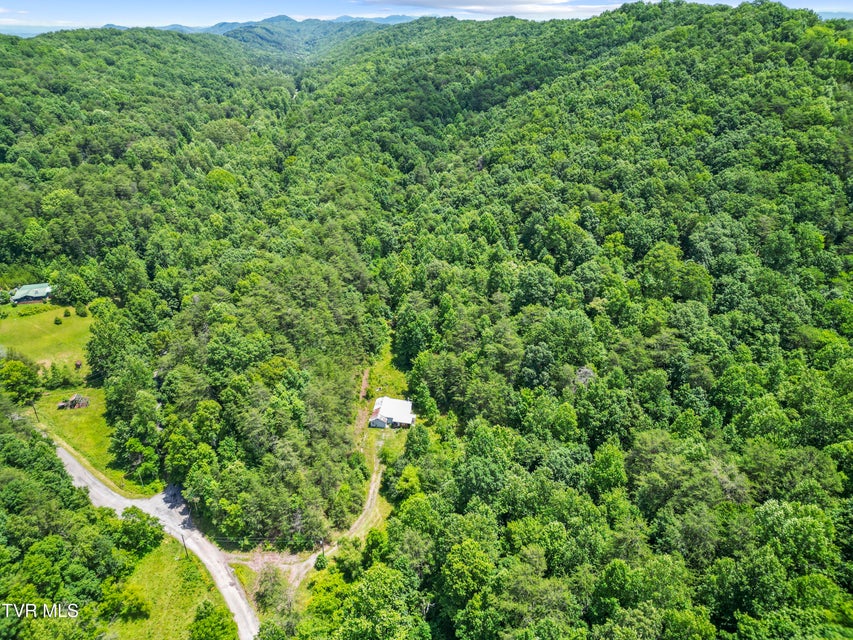 Photo #36: 1103 Speedwell Road
