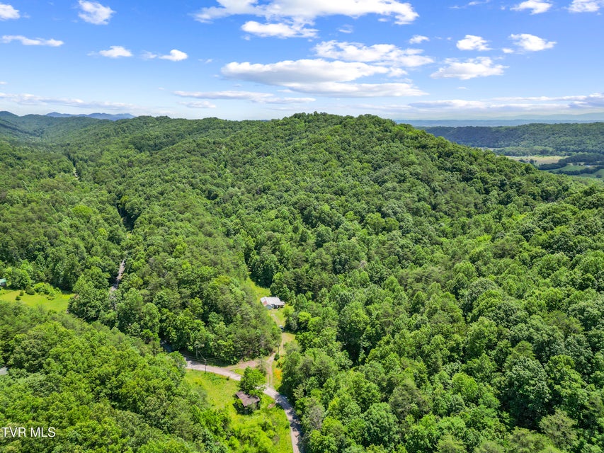 Photo #37: 1103 Speedwell Road