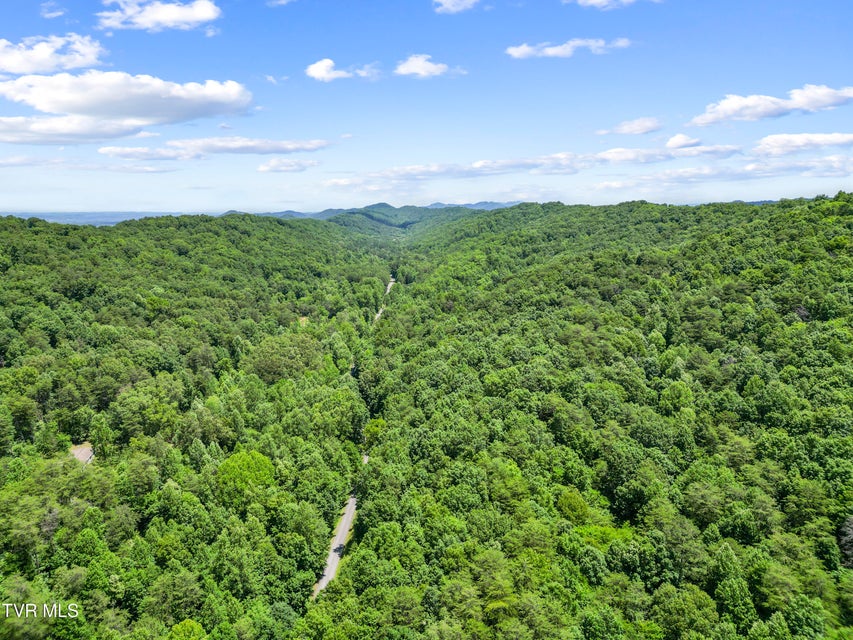 Photo #35: 1103 Speedwell Road