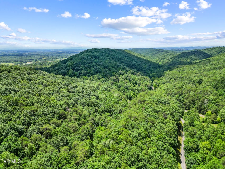 Photo #27: 1103 Speedwell Road