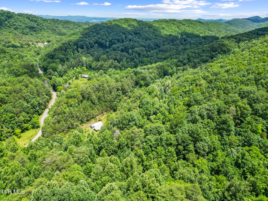 Photo #26: 1103 Speedwell Road