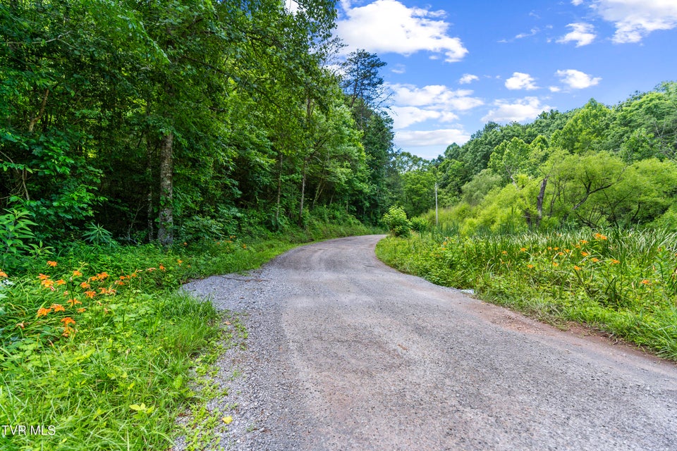 Photo #9: 1103 Speedwell Road