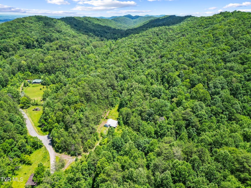 Photo #7: 1103 Speedwell Road