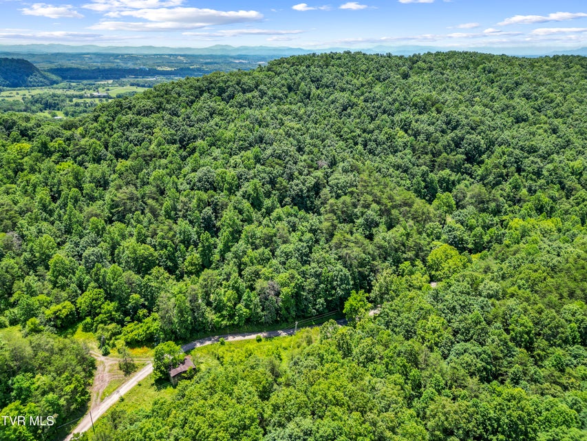 Photo #33: 1103 Speedwell Road