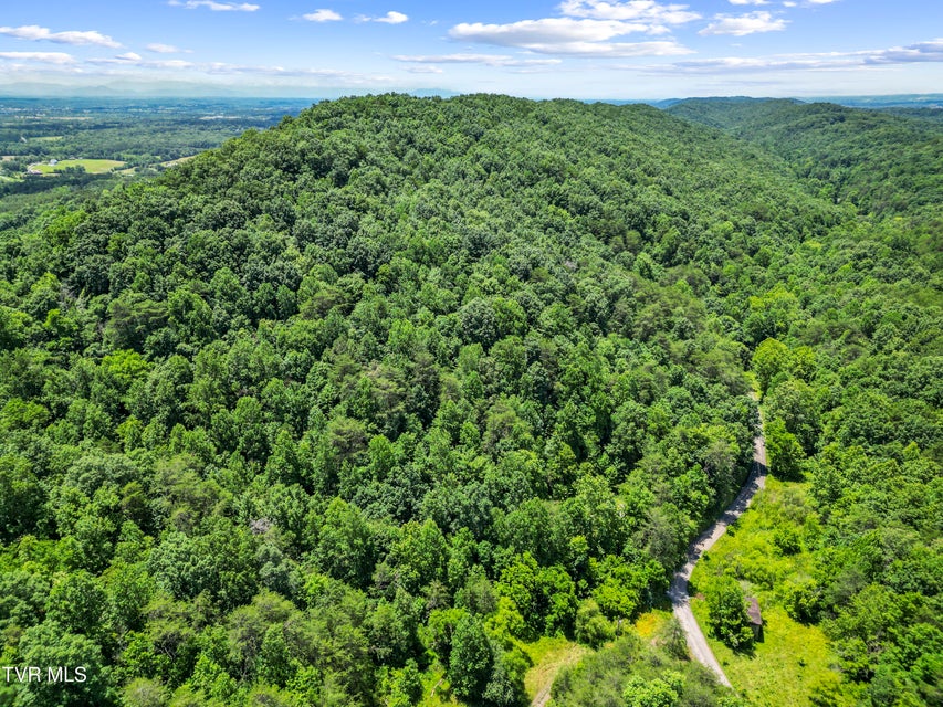 Photo #29: 1103 Speedwell Road