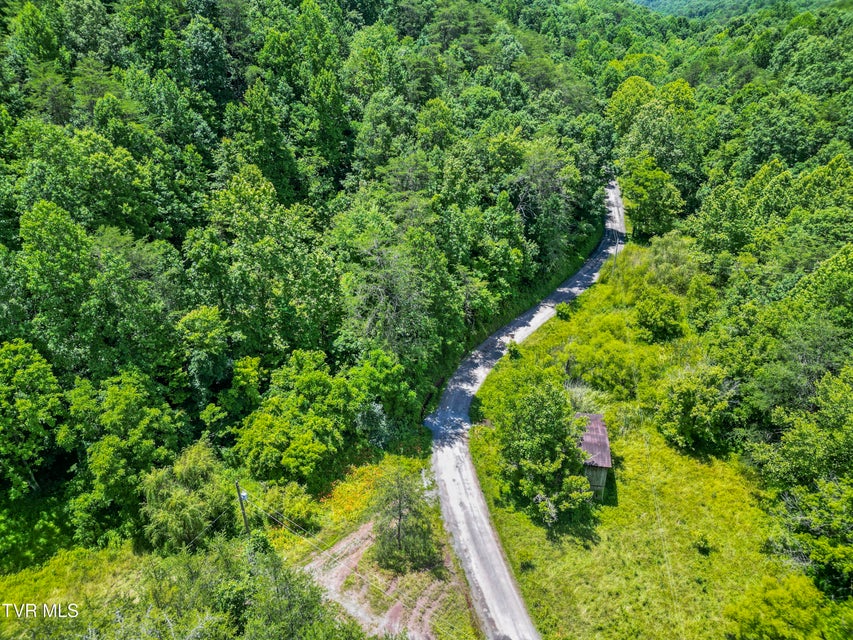 Photo #32: 1103 Speedwell Road