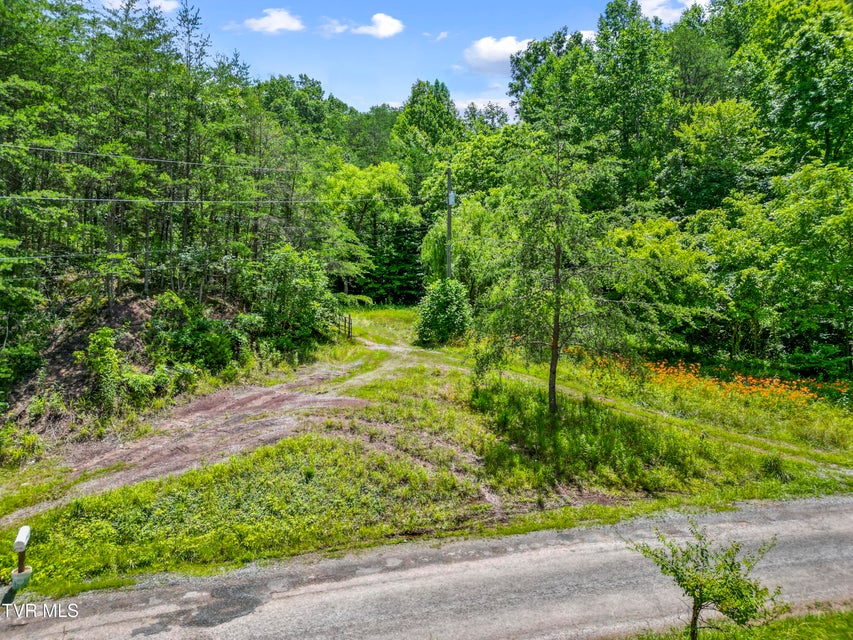 Photo #8: 1103 Speedwell Road
