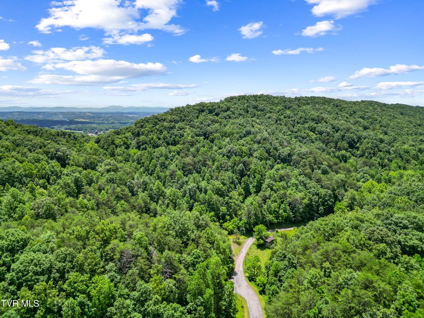 Photo #21: 1103 Speedwell Road
