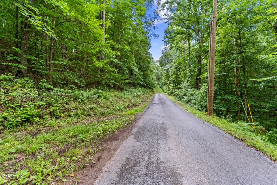 Photo #28: 1103 Speedwell Road
