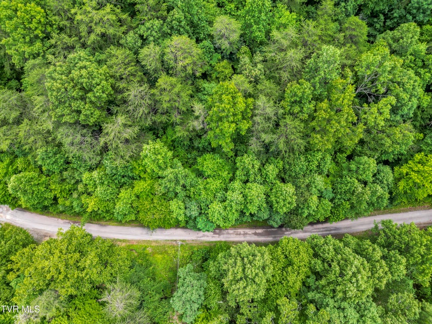 Photo #30: 1103 Speedwell Road
