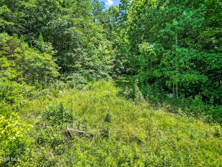 Photo #22: 1103 Speedwell Road