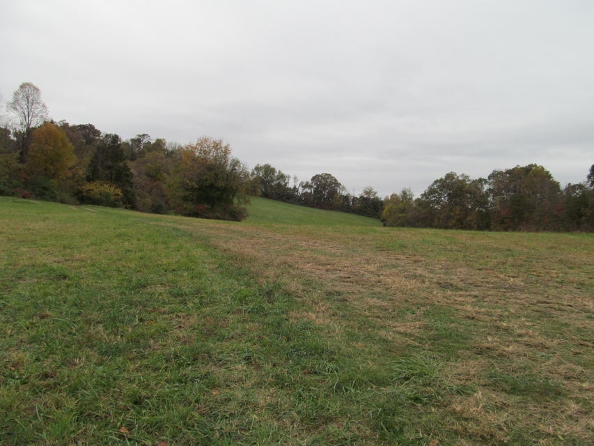 Photo #2: 793 S Pickens Bridge Road