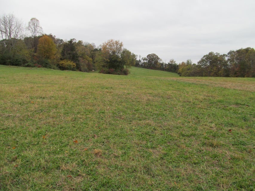 Photo #3: 793 S Pickens Bridge Road