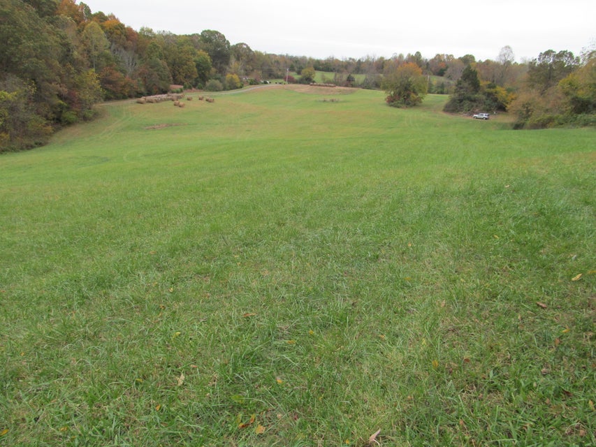 Photo #4: 793 S Pickens Bridge Road