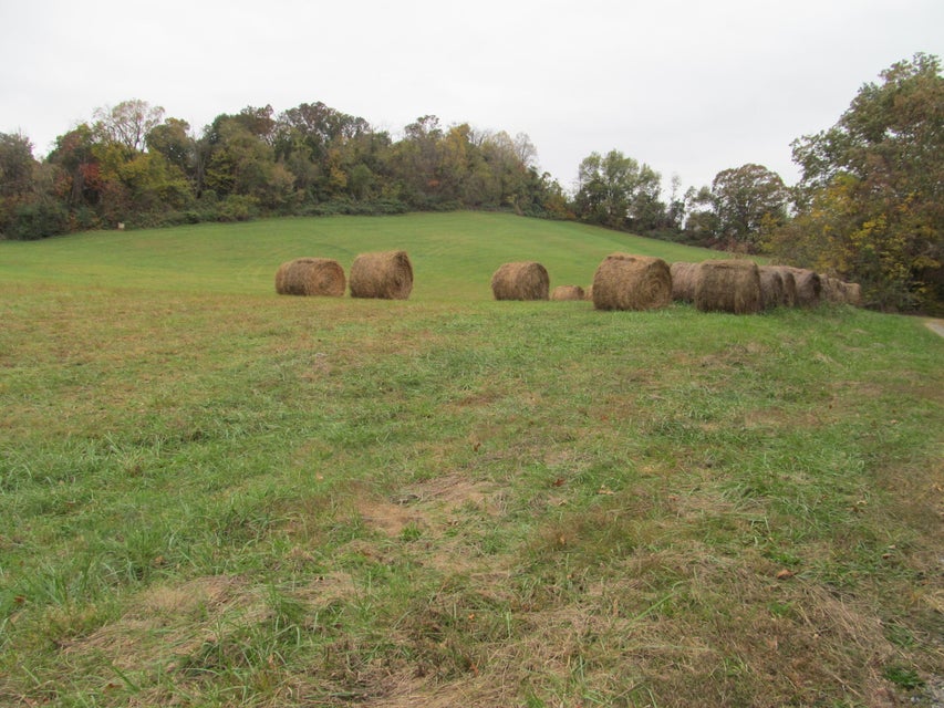 Photo #6: 793 S Pickens Bridge Road