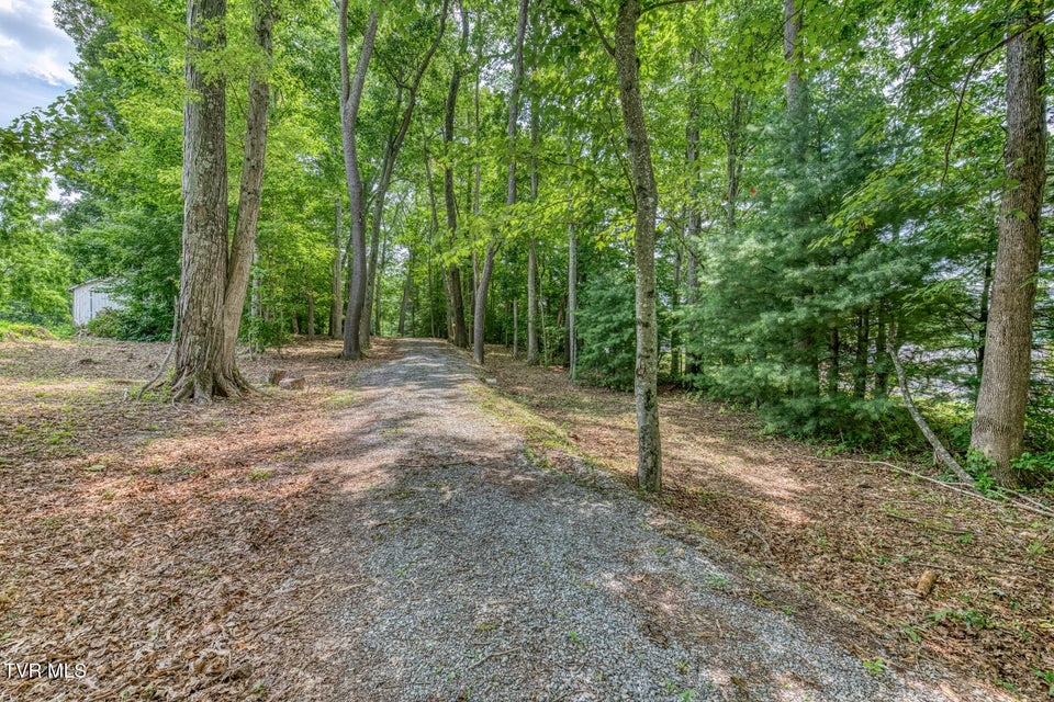 Photo #2: Tbd Lee Highway