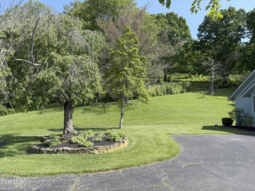 Photo #84: 235 Fisher Road