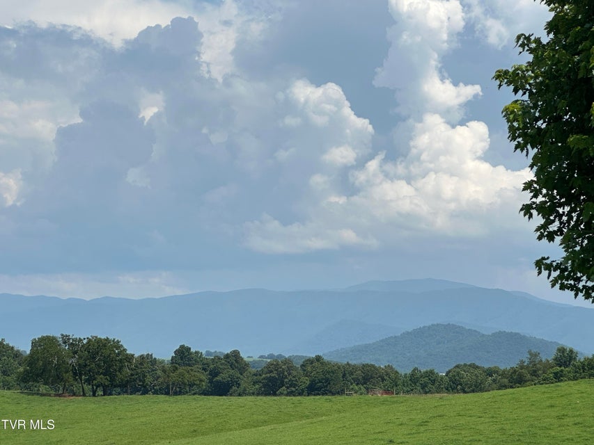 Photo #56: 3655 Allens Bridge Road
