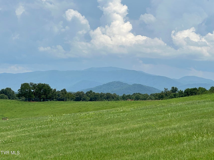 Photo #4: 3655 Allens Bridge Road