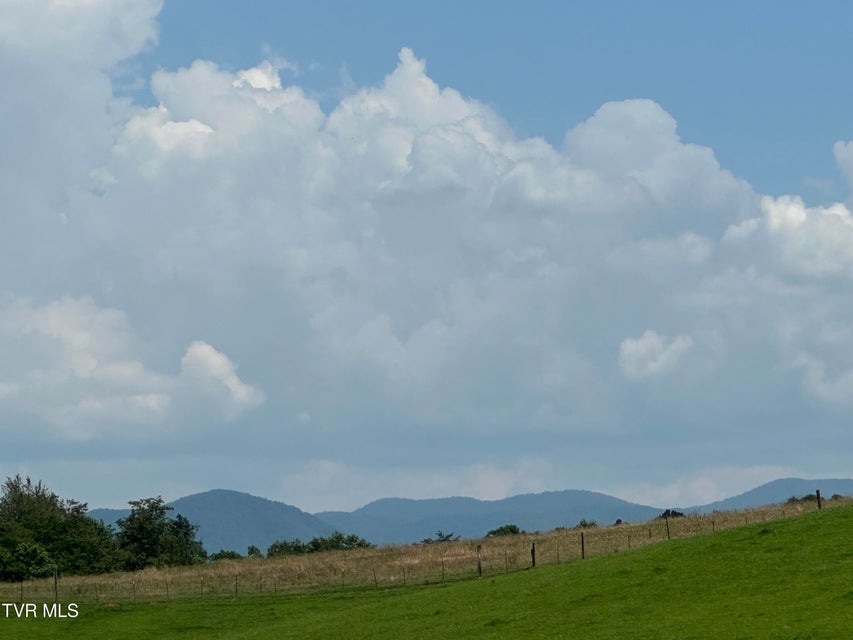 Photo #63: 3655 Allens Bridge Road
