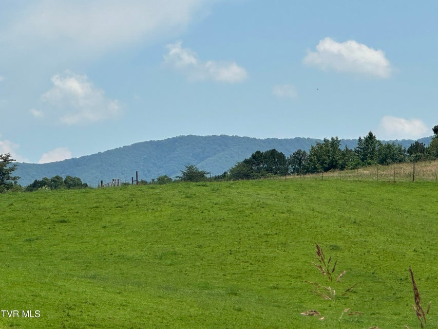 Photo #60: 3655 Allens Bridge Road