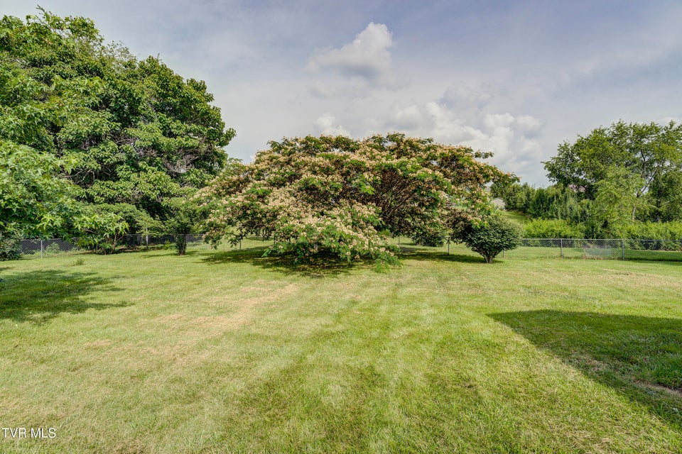 Photo #12: 2146 Buttercup Lane