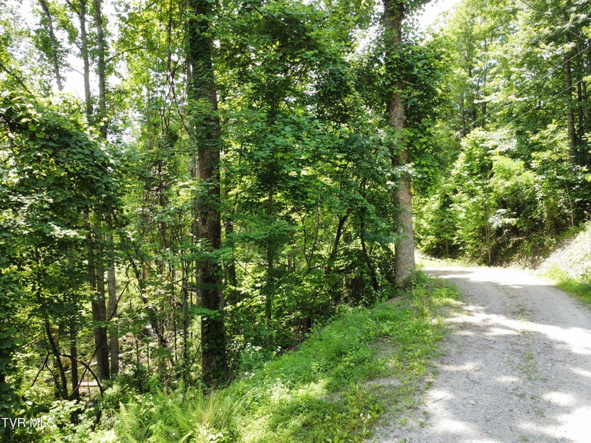 Photo #2: N Heaton Branch Road
