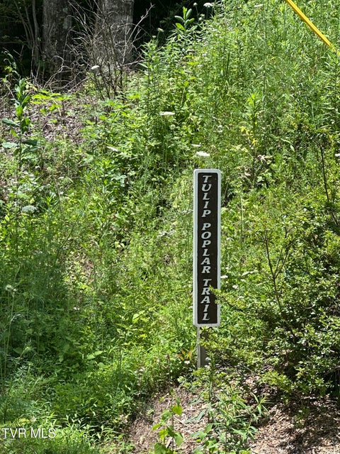 Photo #14: N Heaton Branch Road