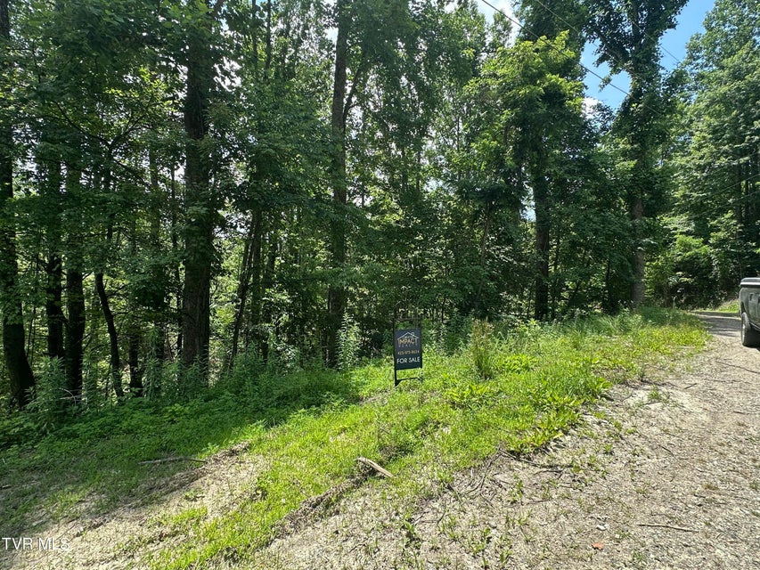 Photo #15: N Heaton Branch Road