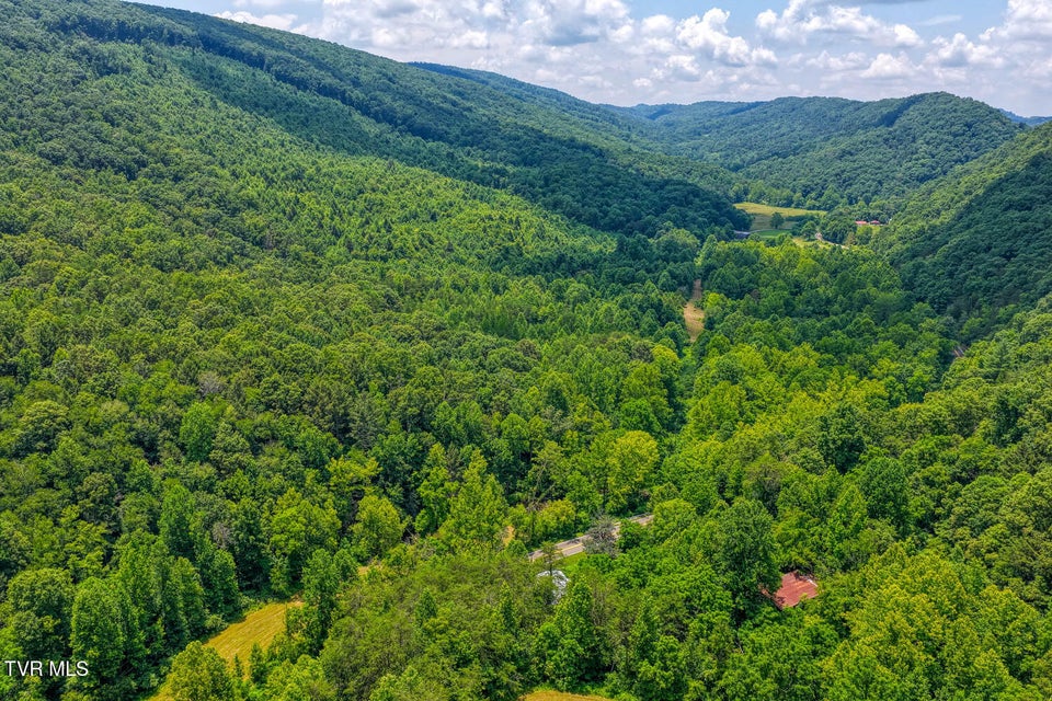 Photo #2: Tbd Beech Creek Road