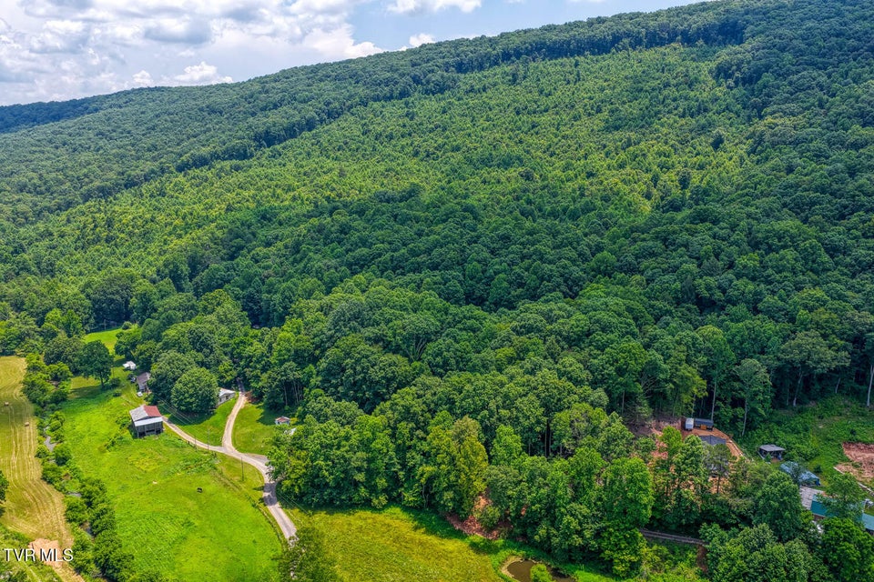 Photo #4: Tbd Beech Creek Road