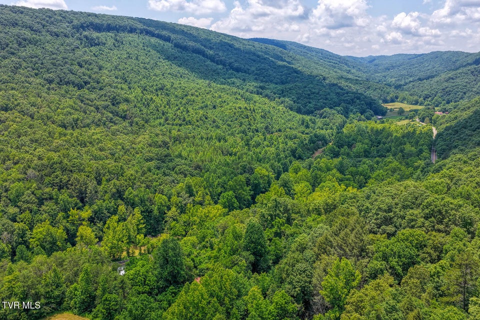 Photo #7: Tbd Beech Creek Road