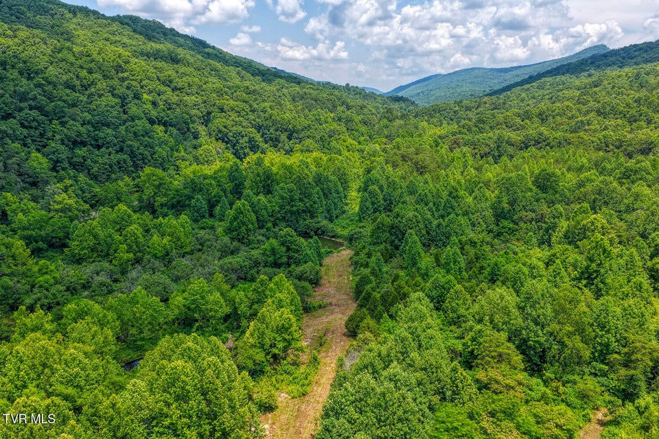 Photo #8: Tbd Beech Creek Road