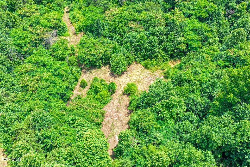 Photo #9: Tbd Beech Creek Road