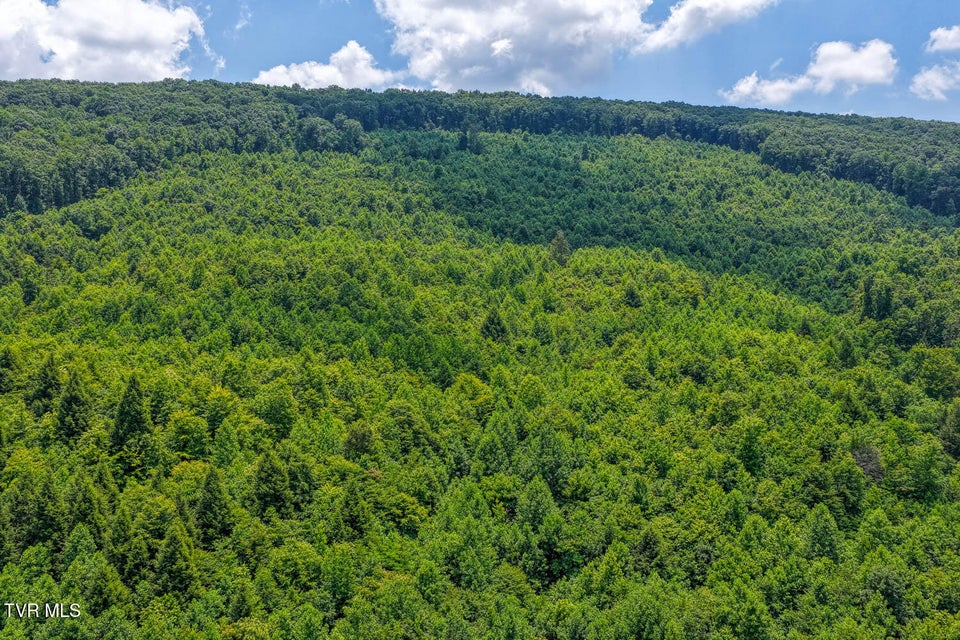 Photo #10: Tbd Beech Creek Road