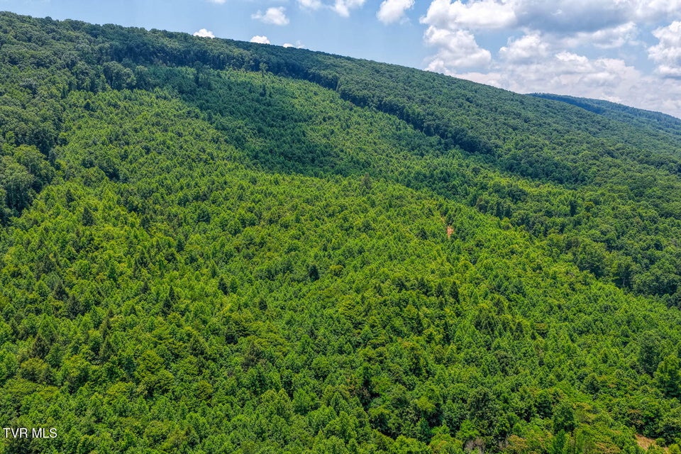 Photo #11: Tbd Beech Creek Road