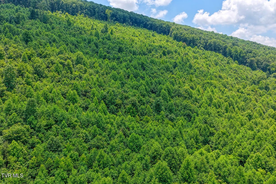 Photo #14: Tbd Beech Creek Road
