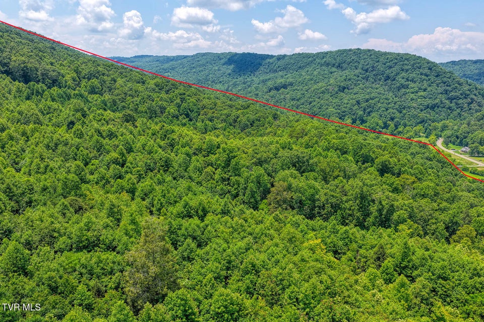 Photo #15: Tbd Beech Creek Road