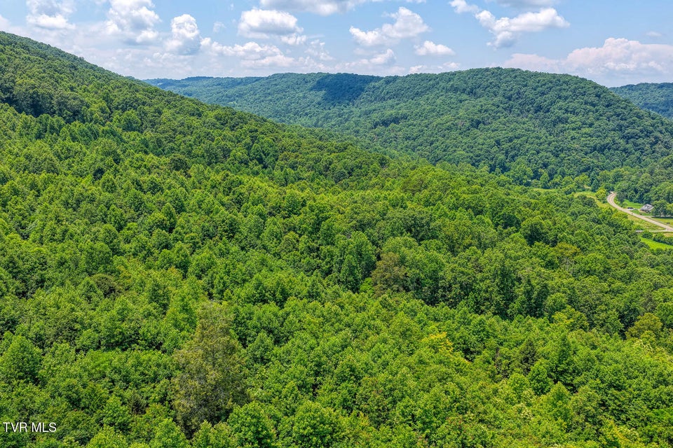 Photo #16: Tbd Beech Creek Road