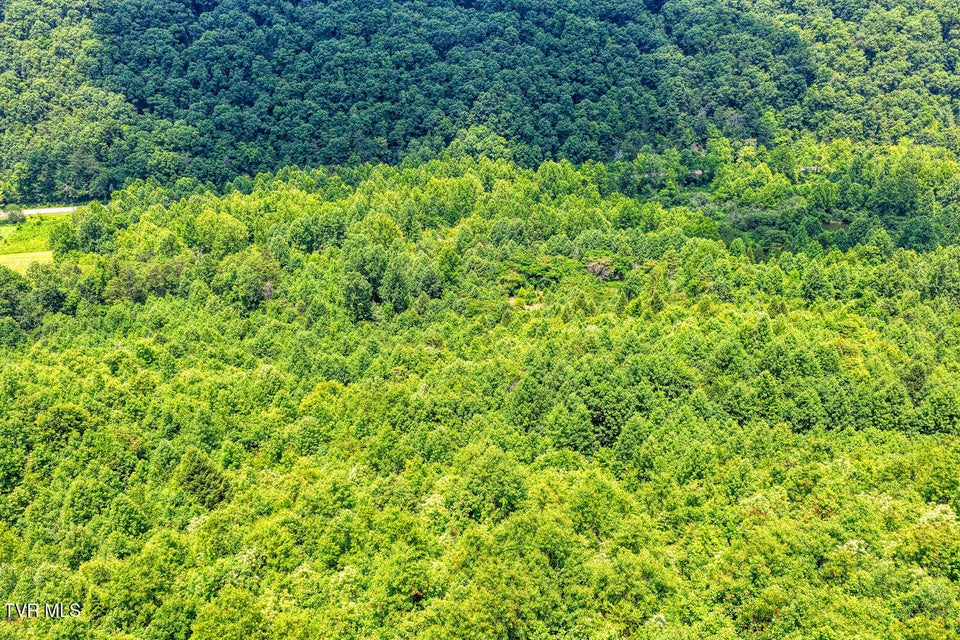 Photo #17: Tbd Beech Creek Road