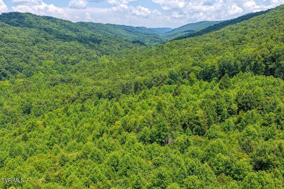 Photo #18: Tbd Beech Creek Road
