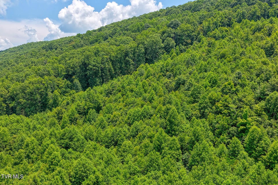 Photo #19: Tbd Beech Creek Road