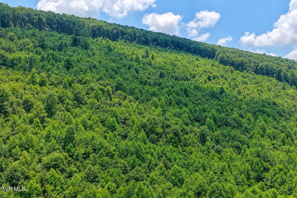 Photo #20: Tbd Beech Creek Road