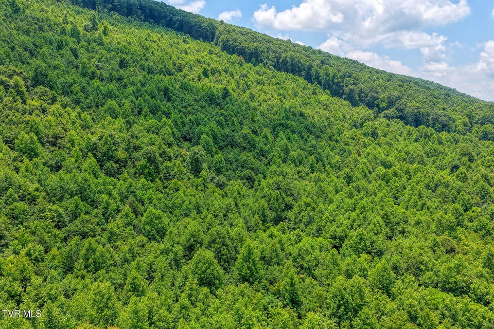 Photo #21: Tbd Beech Creek Road